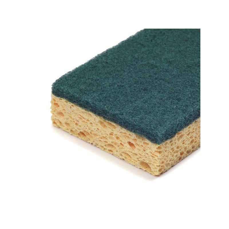 Lot de 10 éponges nettoyage quotidien cellulose Impact