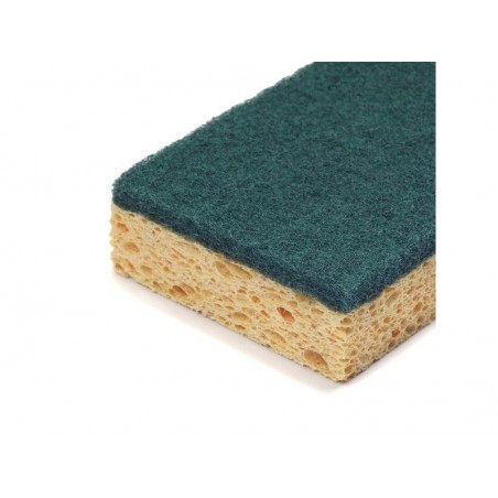 Lot de 10 éponges nettoyage quotidien cellulose Impact
