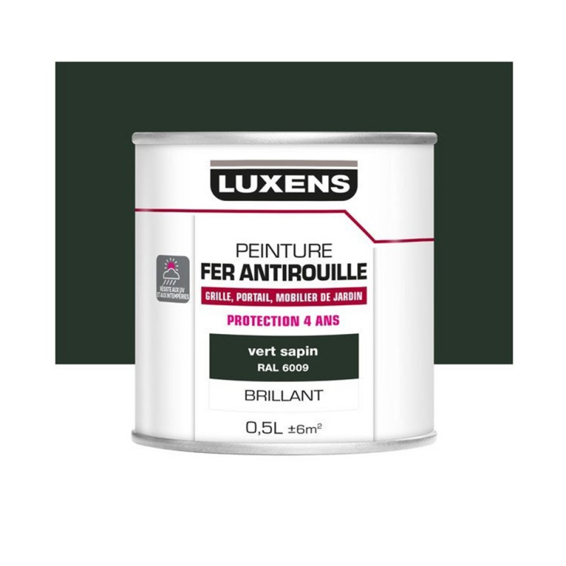 Peinture fer vert sapin 0