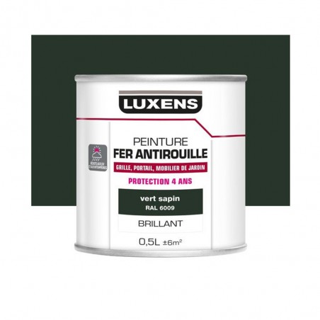 Peinture fer vert sapin 0