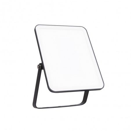 Projecteur essential 30W 840BK