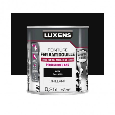 Peinture fer extérieur et Antirouille noir brillant 0