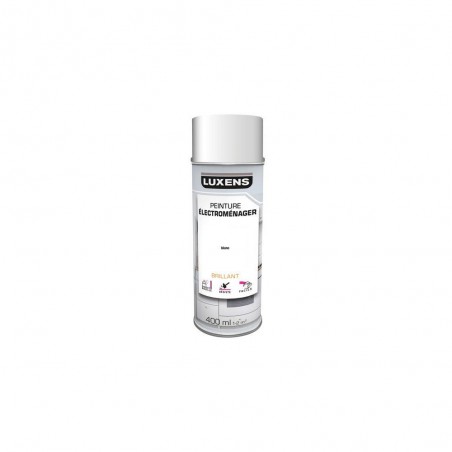 Peinture aérosol blanc brillant04L