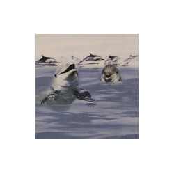 Carrelage mural marina blue 30x60cm HL-01A+HL01B -  - meilleure qualité