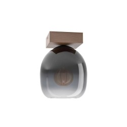 Plafonnier transparentFILAGO 1 E27