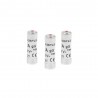 Lot de 3 fusibles céramique 20 A 10.3 X 31.5 Mm