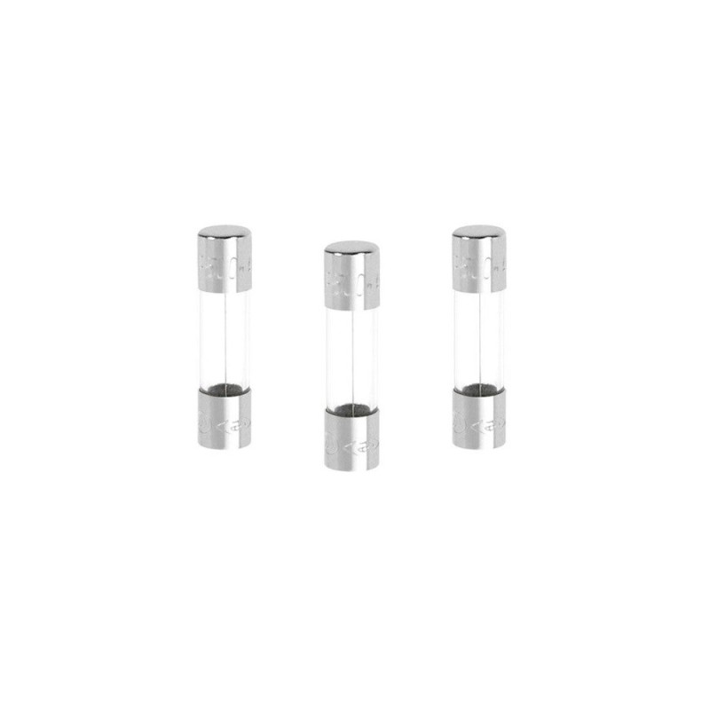 Lot de 3 fusibles verre 10 A 5 X 20 Mm
