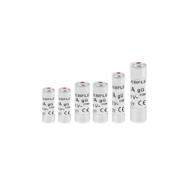 Lot de 6 fusibles céramique 10-16-20-32 A