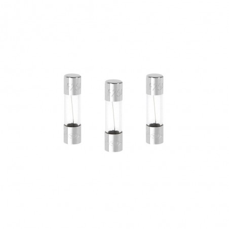 Lot de 3 fusibles verre 2.5 A 5 X 20 Mm