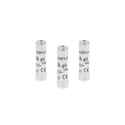 Lot de 3 fusibles céramique 10 A 8.5 X 31.5 Mm