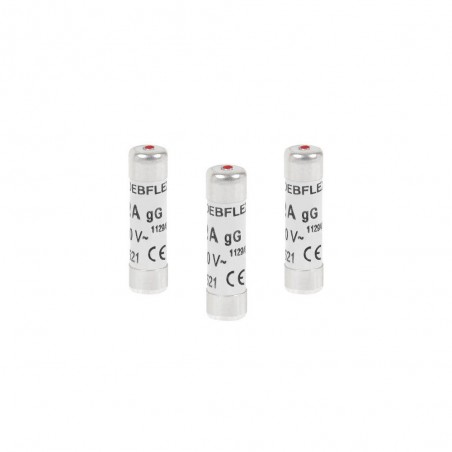 Lot de 3 fusibles céramique 10 A 8.5 X 31.5 Mm