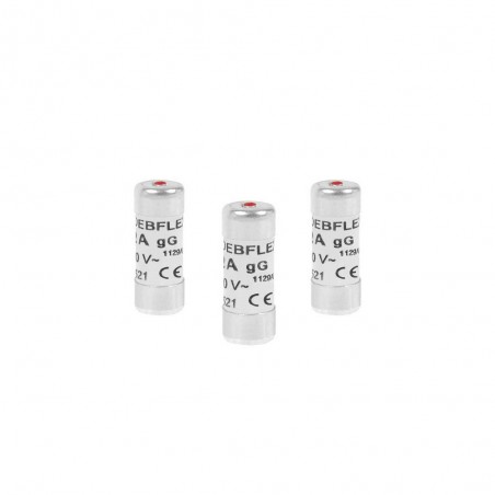 Lot de 3 fusibles céramique 10 A 10.3 X 25.8 Mm