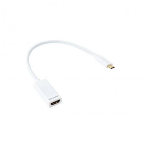 Câble Hdmi femelle vers Usb type C mâle 0.2 M Evology
