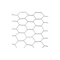 Grillage pour animaux triple Torsion Gris H.0.5 X L.3 M Maille H.25 X L.25 Mm