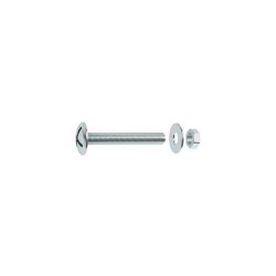 Lot de 20 boulons tête ronde acier zingué L.10 X Diam.4 Mm Standers