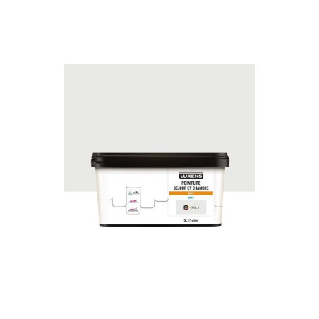 Peinture mur Intérieure LUXENS cool 2 mat 5 l