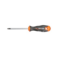 Tournevis Torx T20 L.100 Mm Dexter Pro