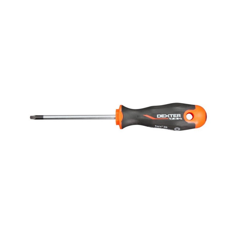 Tournevis Torx T20 L.100 Mm Dexter Pro