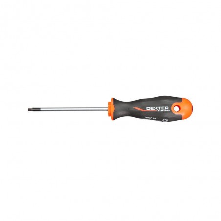 Tournevis Torx T20 L.100 Mm Dexter Pro