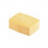 Eponge Végétale Multiusage Viscose Ocai 15.2 X 12.3 Cm