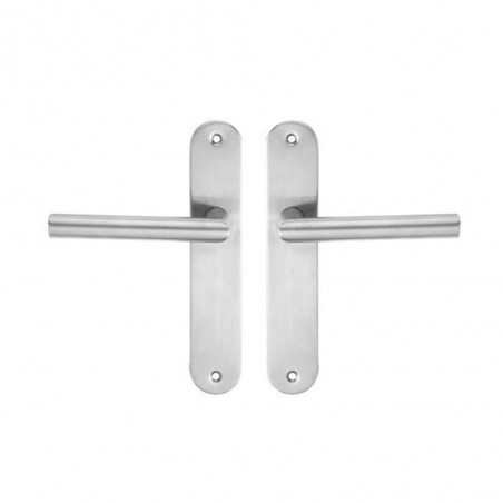 P50 Poignée de porte Sara inox entraxe 195mm bec de cane sur cale de 2 pièces