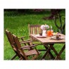 Huile SYNTILOR mobilier de jardin nature protect teck mat