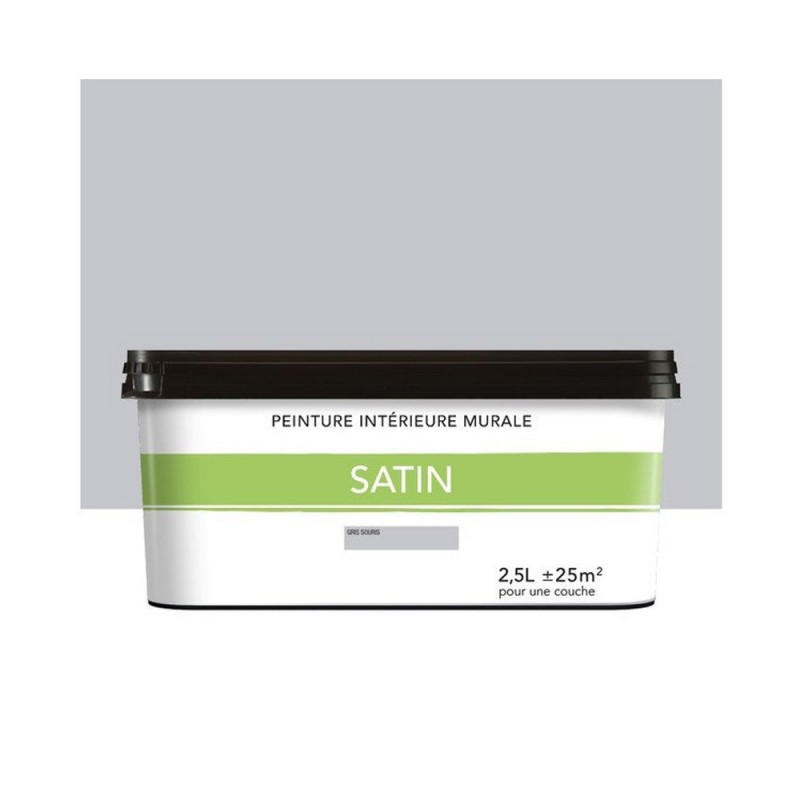 Peinture satiné pour mur intérieur