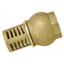 Clapet crépine2103575