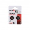 Lot de 2 piles bouton lithium cr2450