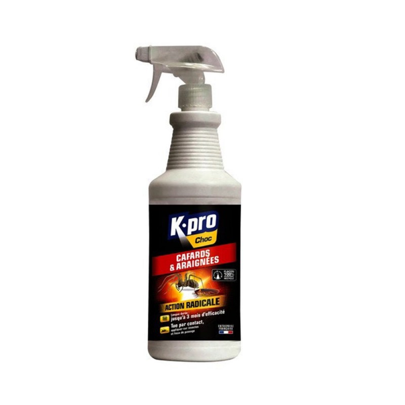 Insecticide anti-rampants pulvérisateur cafard et araignée