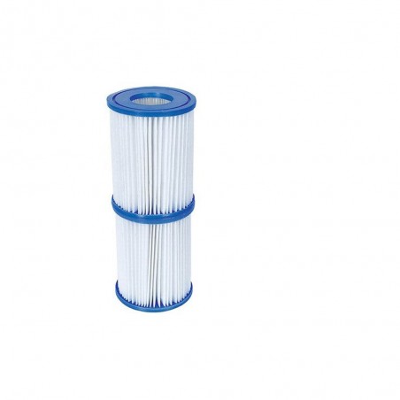 Lot de 2 cartouches filtrantes