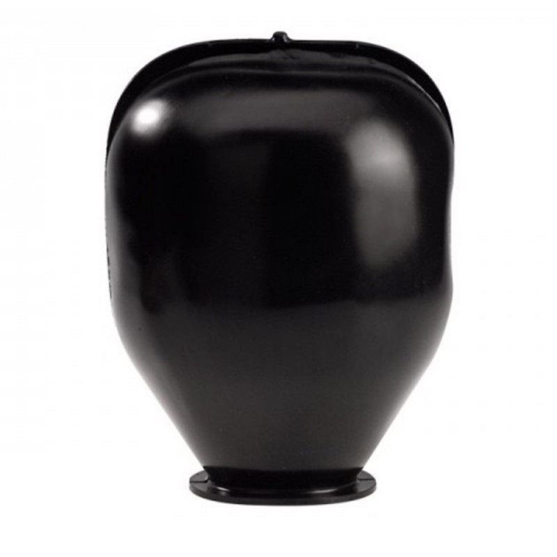 Vessie pour reservoir 60LT avec clapet installation verticale.