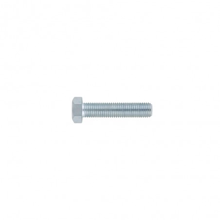 Vis tête horizontale 16X80 classe 88