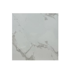 Carrelage sol 60x60cm B06RFNTO-WHE.G0X0R RB -  - meilleure qualité