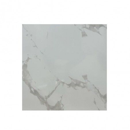 Carrelage sol 60x60cm B06RFNTO-WHE.G0X0R RB -  - meilleure qualité