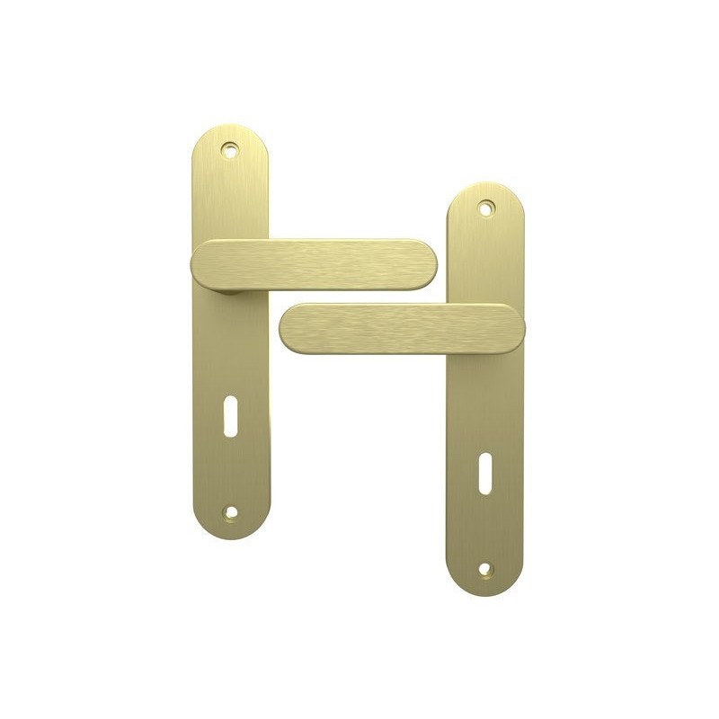 Ensemble de porte trou de clé Java laiton brossé entraxe 195 mm