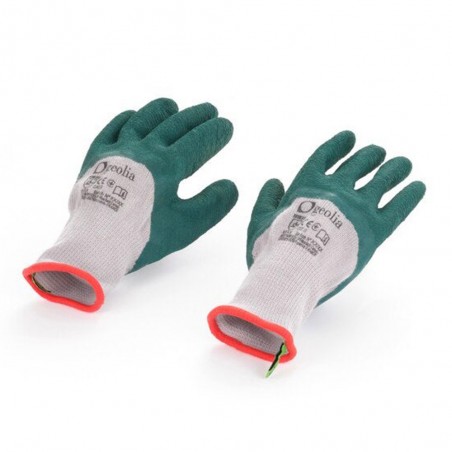 Gantsrosier GEOLIA T6 XS