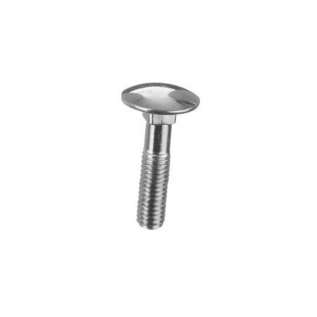 Boulon à tête ronde collet carré 10X50Mm Vrac 1Kg