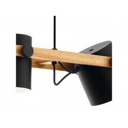 Suspension industriel en acier Inoxydable Eglo Hornwood 3 Lumière(S) | Sanifer