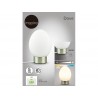 Lampe DOVE 230LM 3000K H24 métal NICKEl en verre gris  | Sanifer