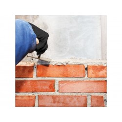 5 kg -  - meilleure qualité