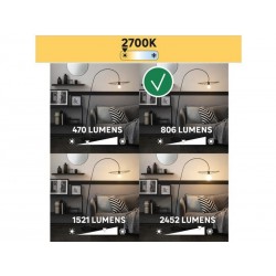 Ampoule led sphérique, E14 806Lm   60W blanc chaud  | Sanifer