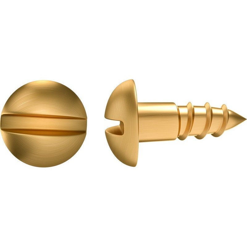 Lot de 25 Vis Laiton Tête Ronde Standers Diam.3 Mm X L.16 Mm