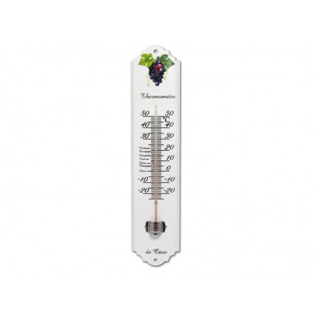 Thermomètre Intérieur Ou Extérieur Inovalley 7100