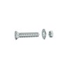 Lot de 6 boulons tête autofraisée plate acier zingué L.60 X Diam.6 Mm Standers