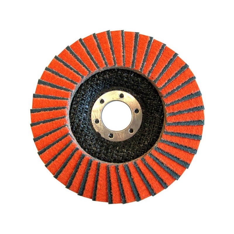 Disque à lamelle Fibre Expert Diametre 125X22 Grain 60