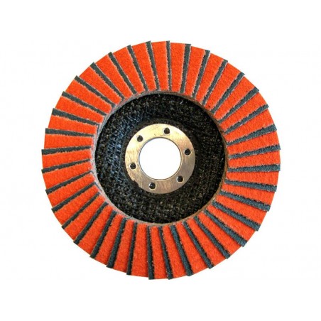 Disque à lamelle Fibre Expert Diametre 125X22 Grain 60