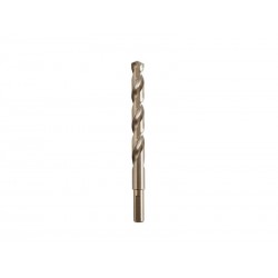 Foret à  métalDEXTER PRO diam.12 mm L.151 mm