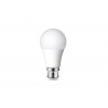 Ampoule led B22 1521lm 100W blanc chaud
