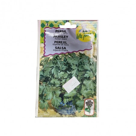 Semence persil géant d'italie 10g -  - meilleure qualité